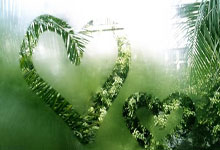 关于里程碑夜圣安东尼奥马刺主帅复盘，欧篮联今晨刷纪录，态度坚定，轮换策略成焦点的信息-爱游戏全站